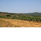 Paesaggio nell'entroterra