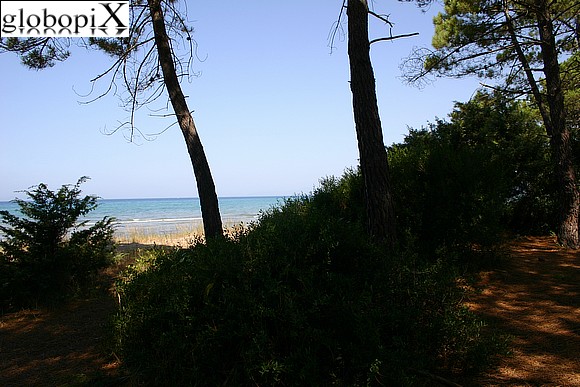 Maremma - Spiaggia e Pineta di Punta Ala