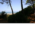 Spiaggia e Pineta di Punta Ala