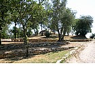 Tumulo della Pietrera