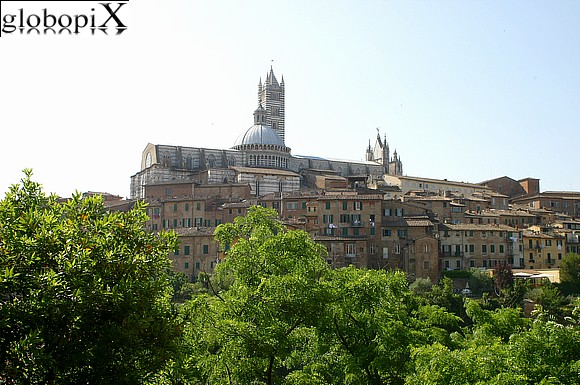 Siena - Panorama of Siena from S. Domenico