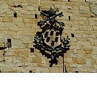 Palazzo Comunale - Arme Medicea