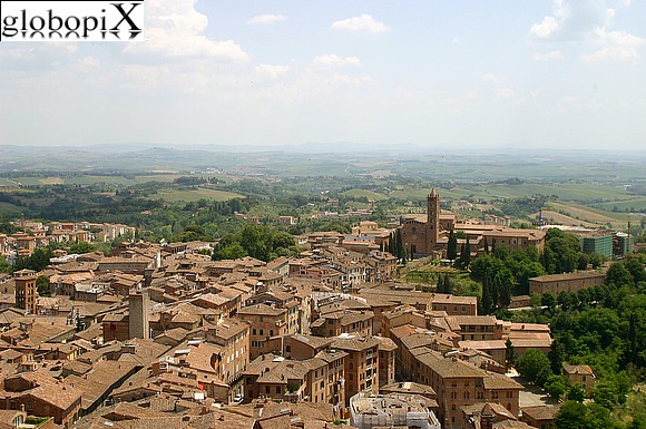 Siena - Santa Maria dei Servi