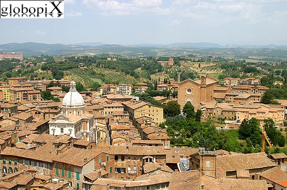 Basilica di San Francesco.