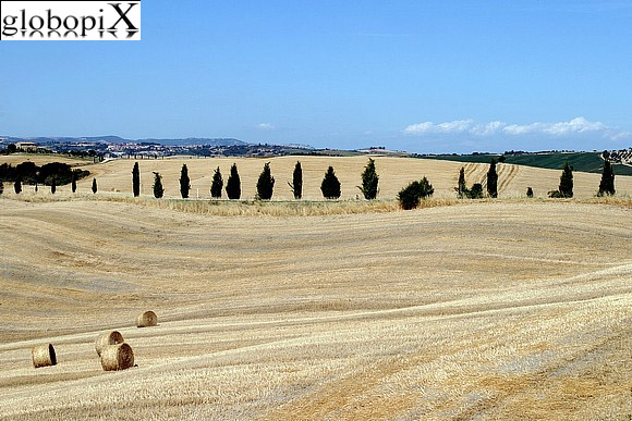 Paesaggio della Val d'Orcia