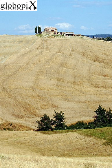 Paesaggio della Val d'Orcia