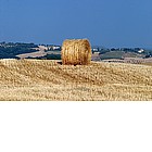 Foto: Paesaggio della Val d'Orcia