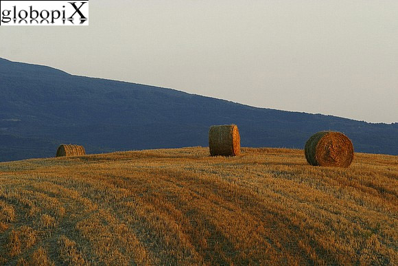Val d'Orcia - Paesaggio della Val d'Orcia