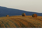 Paesaggio della Val d'Orcia