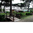 La Pineta di Ponente