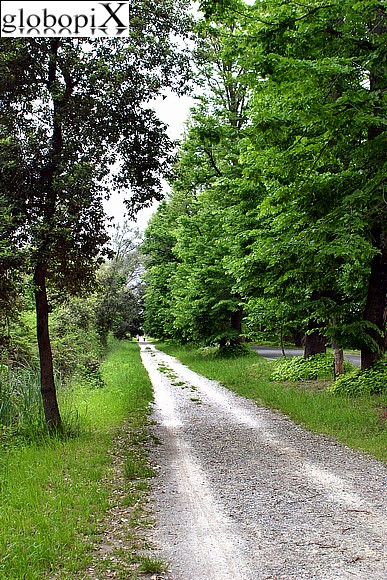 La Pineta di Ponente