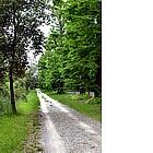 La Pineta di Ponente