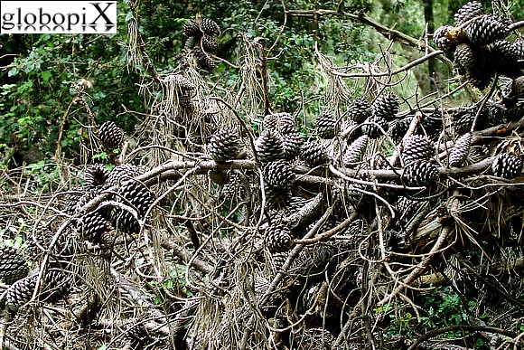 Il Parco Naturale