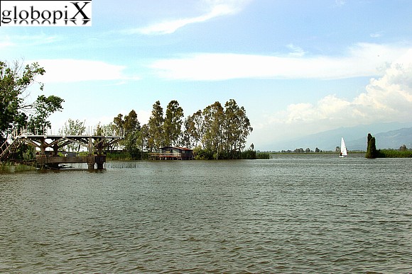 Lago di Massacciucoli