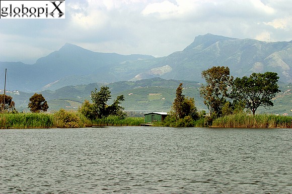 Versilia - Lago di Massacciucoli
