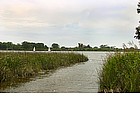 Foto: Torre del Lago Puccini