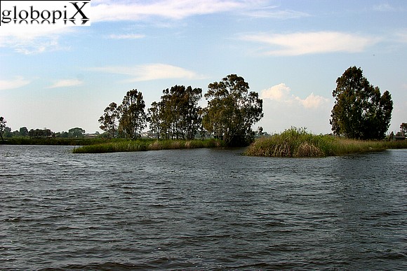 Versilia - Lago di Massacciucoli