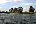 Foto: Lago di Massacciucoli