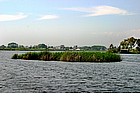 Foto: Lago di Massacciucoli