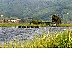 Foto: Lago di Massacciucoli