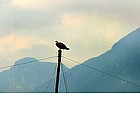 Foto: Lago di Massacciucoli