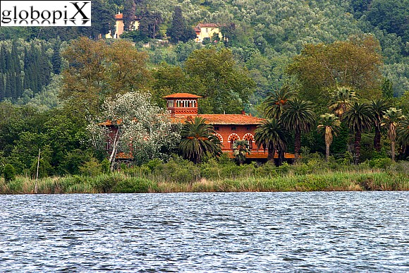 Versilia - Lago di Massacciucoli