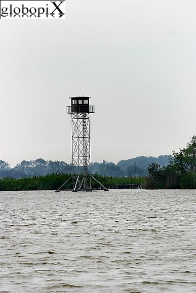 Versilia - Lago di Massacciucoli