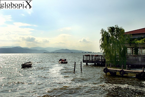 Lago di Massacciucoli
