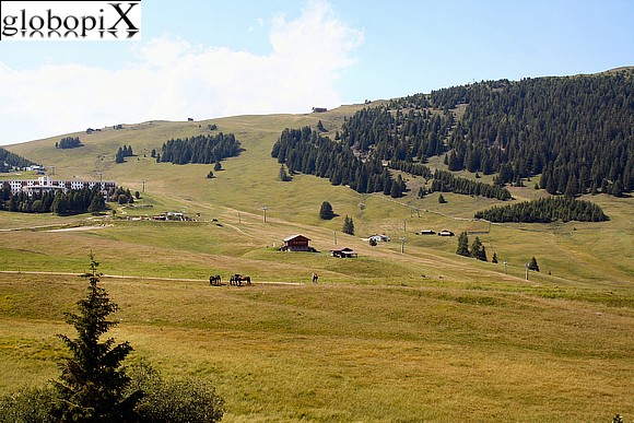 Alpe di Siusi