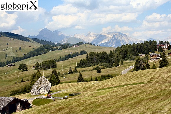 Alpe di Siusi e gruppo Sella