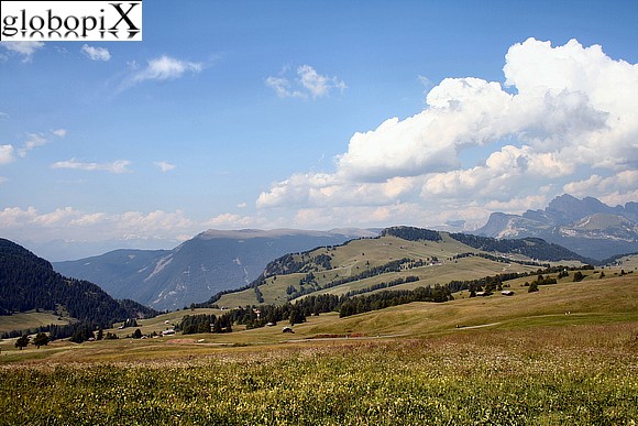 Prati dell'Alpe di Siusi