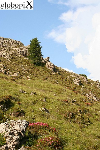 Alpe di Siusi