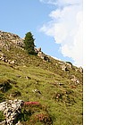 Alpe di Siusi