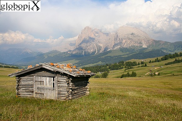 Malga sull'Alpe di Siusi