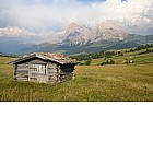 Malga sull'Alpe di Siusi