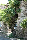 Chiesa di S. Lorenzo