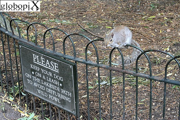 St James's Park
