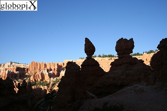 Pinnacoli a Bryce Canyon