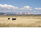 Photo: Prairie in the West