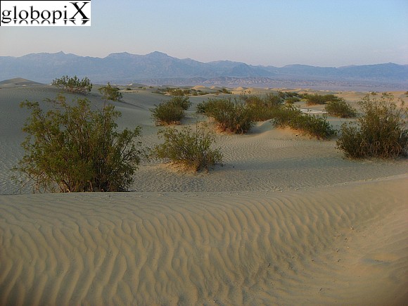 Death Valley - Sand Dunes