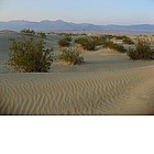 Photo: Death Valley - Sand Dunes
