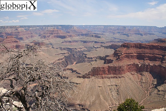 Grand Canyon