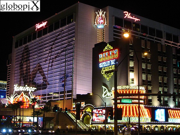 Las Vegas - Las Vegas - Flamingo