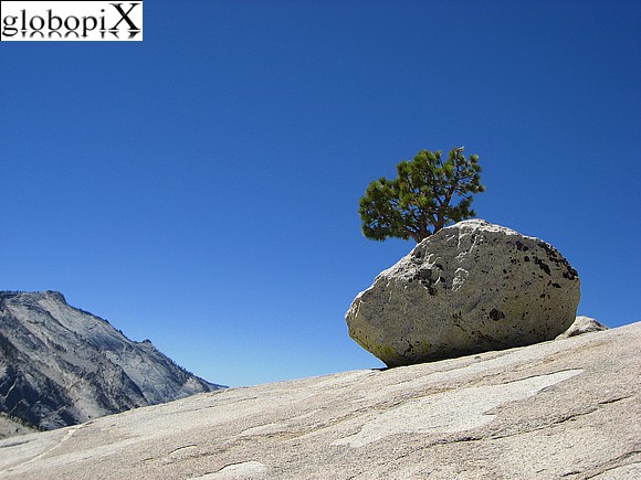 Yosemite - Olmsted Point