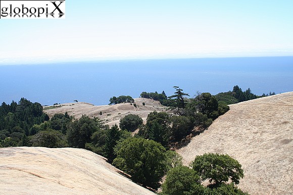 North Bay - Mount Tamalpais S.P.