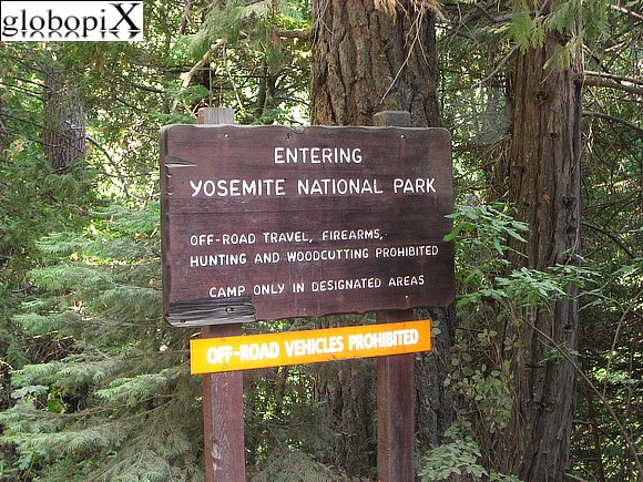 Yosemite National Park