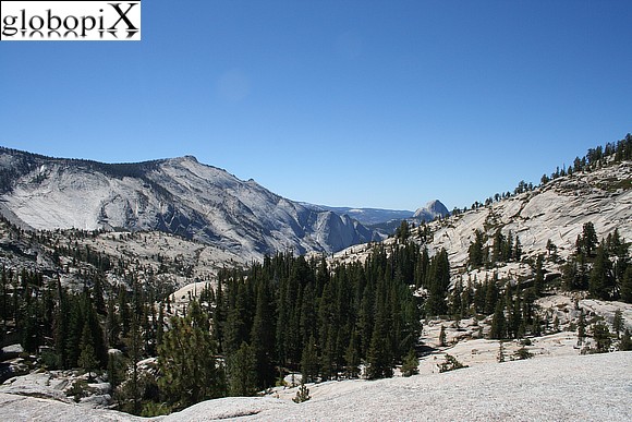 Yosemite - Olmsted Point
