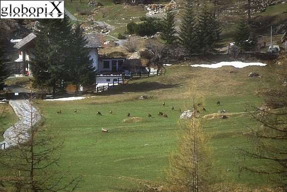 Gran Paradiso - Baita ai piedi del Gran Paradiso