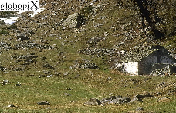 Gran Paradiso - Baita
