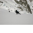 Corvi sul Mer de Glace
